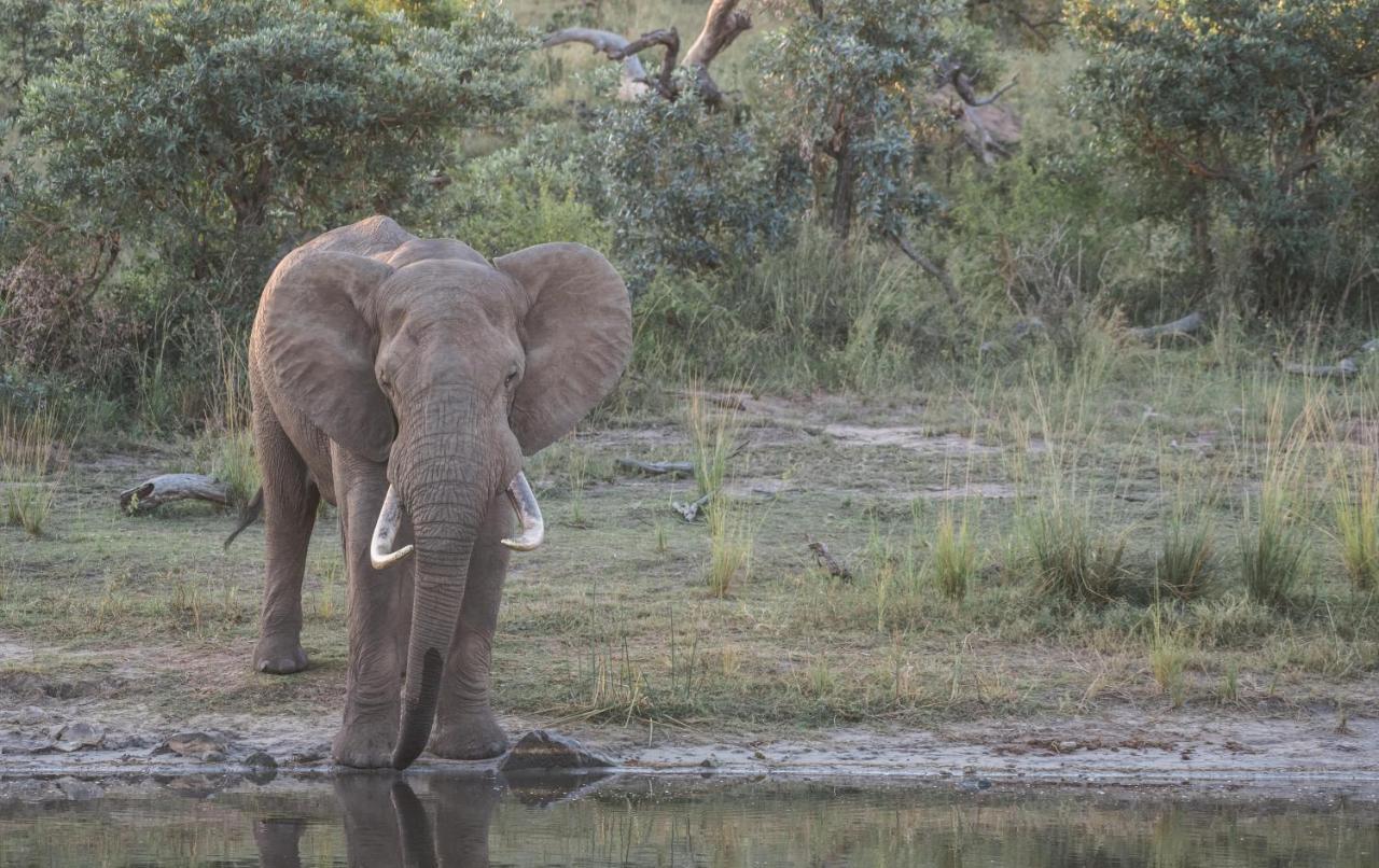 Tamboti River Lodge Hectorspruit Esterno foto