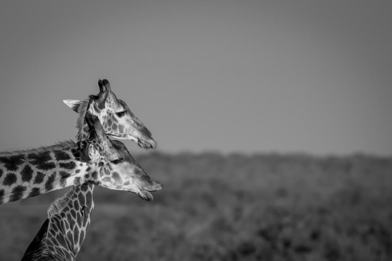 Tamboti River Lodge Hectorspruit Esterno foto