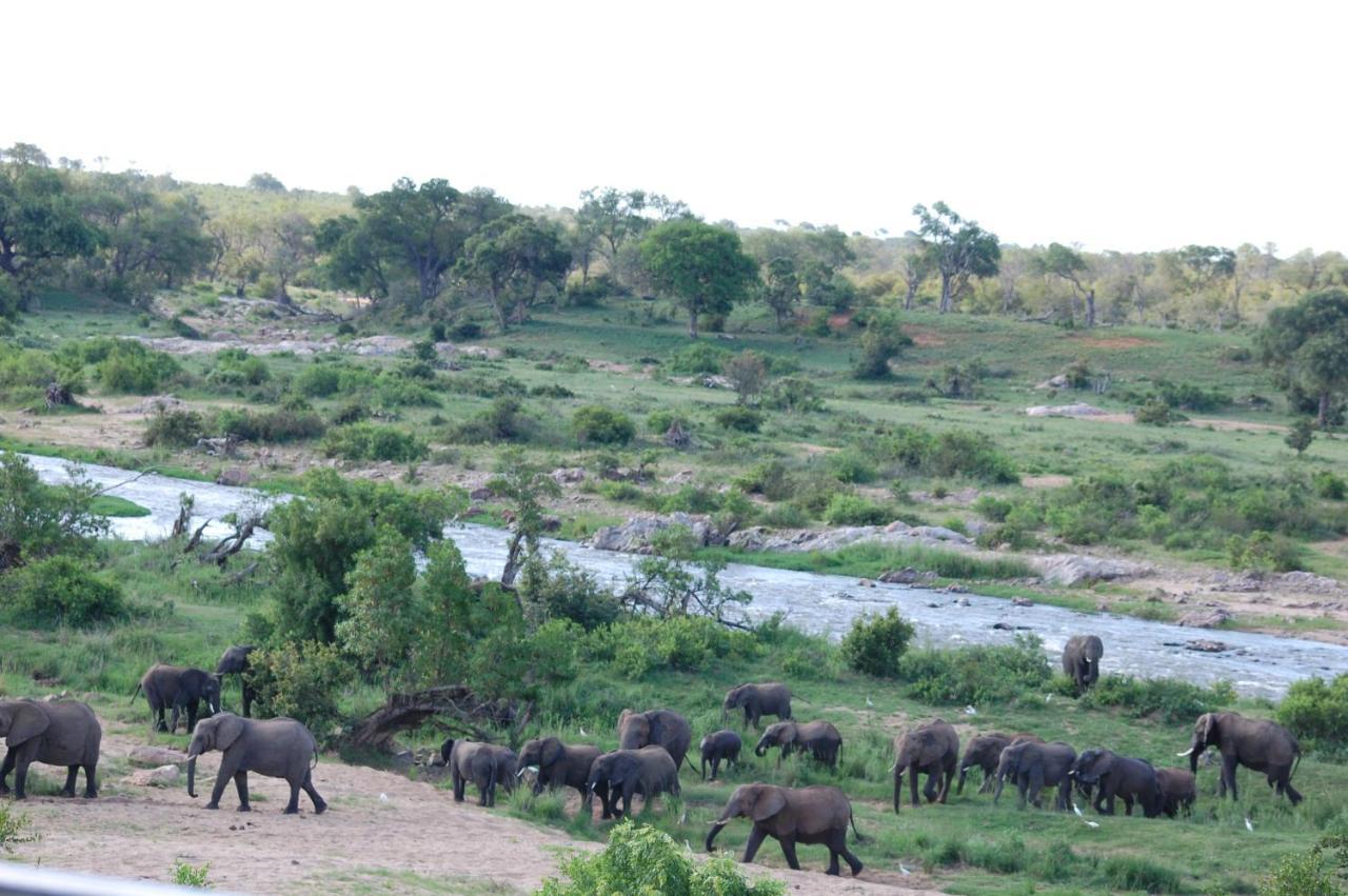 Tamboti River Lodge Hectorspruit Esterno foto